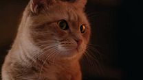 image de A Street Cat Named Bob Bande-annonce VO