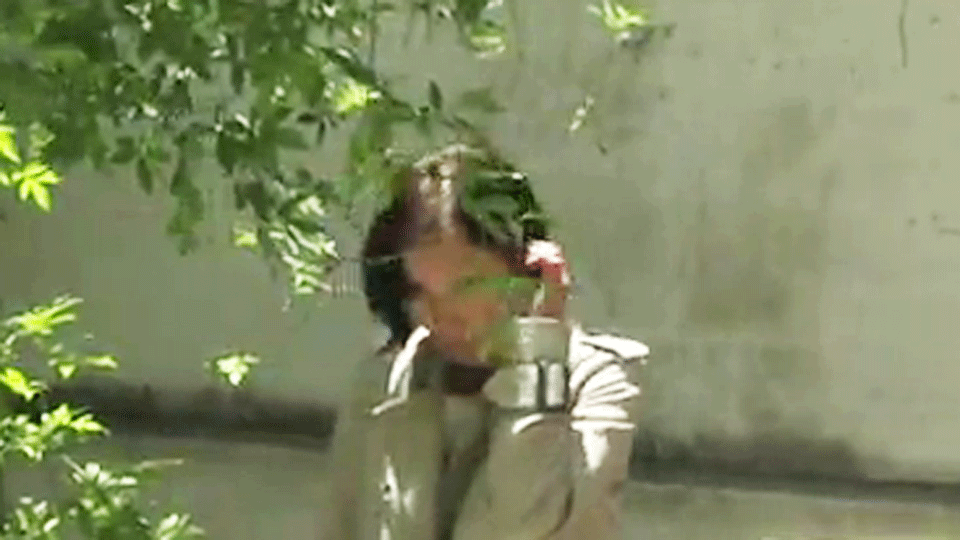 image de In Front of Your Face EXTRAIT VO "L'arbre"