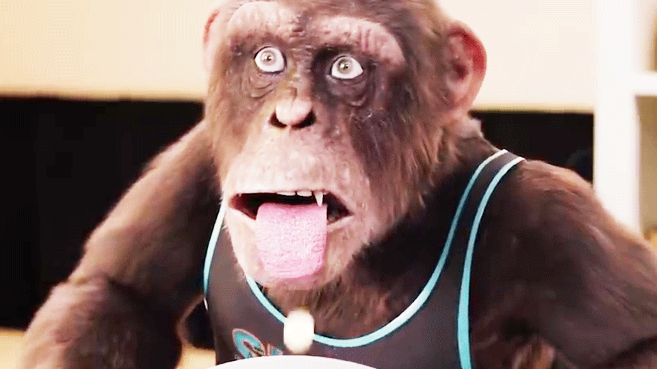 image de C.I.Ape Bande-annonce VO