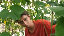image de Les Mains dans la Terre, Naissance d'un écovillage Bande-annonce VF