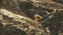 image de Jurassic World: Le Monde d'après EXTRAIT VF "Prologue"