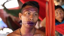 image de Yanomami, les voix de la forêt Bande-annonce VO