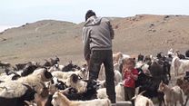 image de Mongolie, carnet de voyage Bande-annonce VF
