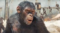 image de La Planète des Singes : Le Nouveau Royaume Bande-annonce VO