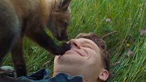 image de The Fox Bande-annonce VO