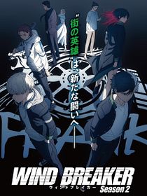 Wind Breaker