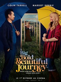 Affiche de A Big Bold Beautiful Journey, film à voir en streaming sur Pygargue