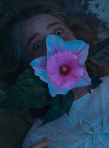 Affiche de Nervures, film à voir en streaming sur Pygargue