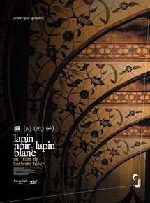 Affiche de Lapin noir, lapin blanc, film à voir en streaming sur Pygargue