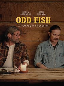 Affiche de Ljósvíkingar, film à voir en streaming sur Pygargue