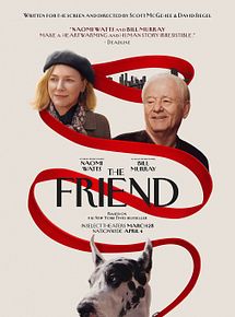 Affiche de The Friend, film à voir en streaming sur Pygargue