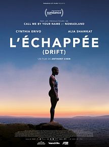 Affiche de L’Echappée, film à voir en streaming sur Pygargue