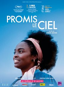Affiche de Promis le ciel, film à voir en streaming sur Pygargue