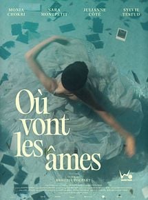 Affiche de Où vont les âmes, film à voir en streaming sur Pygargue