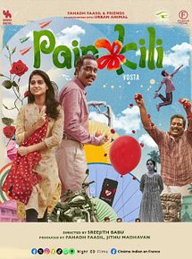 Affiche de Painkili, film à voir en streaming sur Pygargue