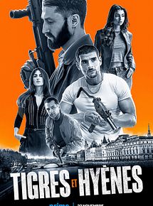 Affiche de Tigres & Hyènes, film à voir en streaming sur Pygargue