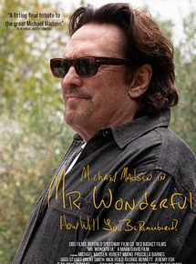 Affiche de Mr. Wonderful, film à voir en streaming sur Pygargue