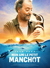 Affiche de Mon ami le petit manchot, film à voir en streaming sur Pygargue