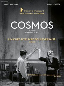 Affiche de Cosmos, film à voir en streaming sur Pygargue