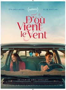 Affiche de D'où vient le vent, film à voir en streaming sur Pygargue