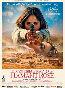 Affiche de Le Mystérieux regard du flamant rose, film à voir en streaming sur Pygargue