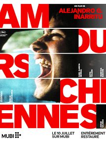 Affiche de Amours chiennes, film à voir en streaming sur Pygargue