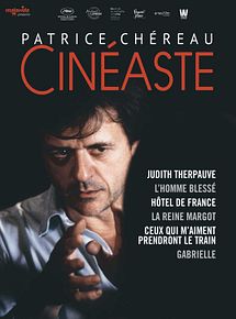 Affiche de Ceux qui m'aiment prendront le train, film à voir en streaming sur Pygargue