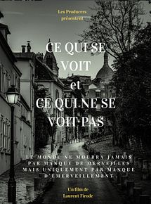 Affiche de Ce qui se voit et ce qui ne se voit pas, film à voir en streaming sur Pygargue