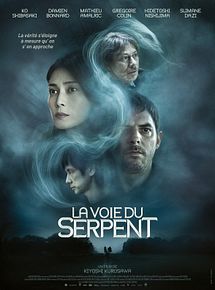 Affiche de La Voie du serpent, film à voir en streaming sur Pygargue