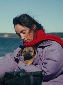 Affiche de La Chienne, film à voir en streaming sur Pygargue