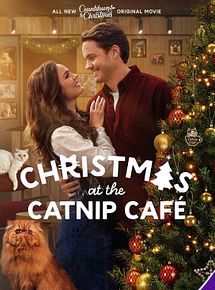 Affiche de Un Noël chatoyant !, film à voir en streaming sur Pygargue