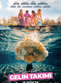 Affiche de Gelin Takımı, film à voir en streaming sur Pygargue