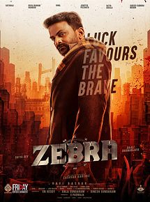 Affiche de Zebra, film à voir en streaming sur Pygargue