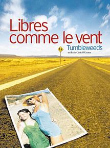 Affiche de Libres comme le vent, film à voir en streaming sur Pygargue