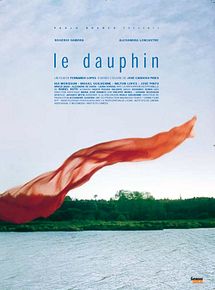 Affiche de Le Dauphin, film à voir en streaming sur Pygargue