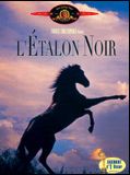 Affiche de L'Etalon noir, film à voir en streaming sur Pygargue
