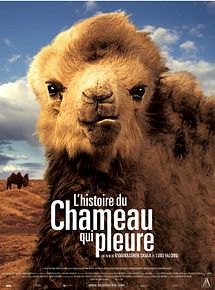 Affiche de L'Histoire du chameau qui pleure, film à voir en streaming sur Pygargue