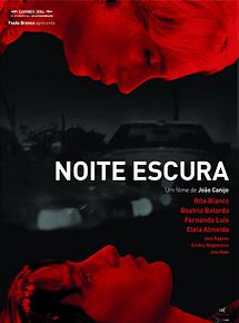 Affiche de Nuit noire, film à voir en streaming sur Pygargue
