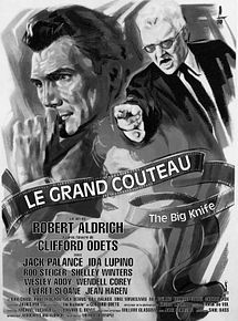 Affiche de Le Grand couteau, film à voir en streaming sur Pygargue