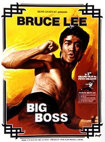 Affiche de Big Boss, film à voir en streaming sur Pygargue
