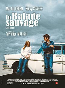Affiche de La Balade sauvage, film à voir en streaming sur Pygargue