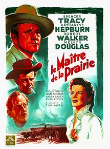 Affiche de Le Maître de la prairie, film à voir en streaming sur Pygargue