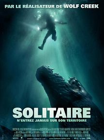 Affiche de Solitaire, film à voir en streaming sur Pygargue