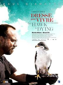 Affiche de The Hawk is Dying - Dressé pour vivre, film à voir en streaming sur Pygargue