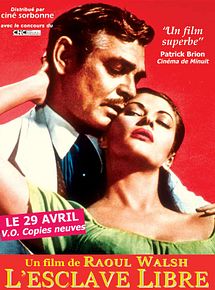 Affiche de L'Esclave libre, film à voir en streaming sur Pygargue
