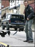 Affiche de Kaw, film à voir en streaming sur Pygargue