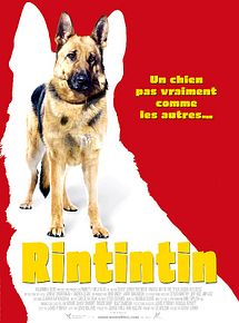 Affiche de Rintintin, film à voir en streaming sur Pygargue