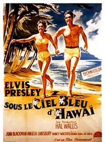 Affiche de Sous le ciel bleu de Hawaii, film à voir en streaming sur Pygargue