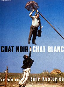Affiche de Chat noir, chat blanc, film à voir en streaming sur Pygargue