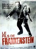 Affiche de Le Fils de Frankenstein, film à voir en streaming sur Pygargue